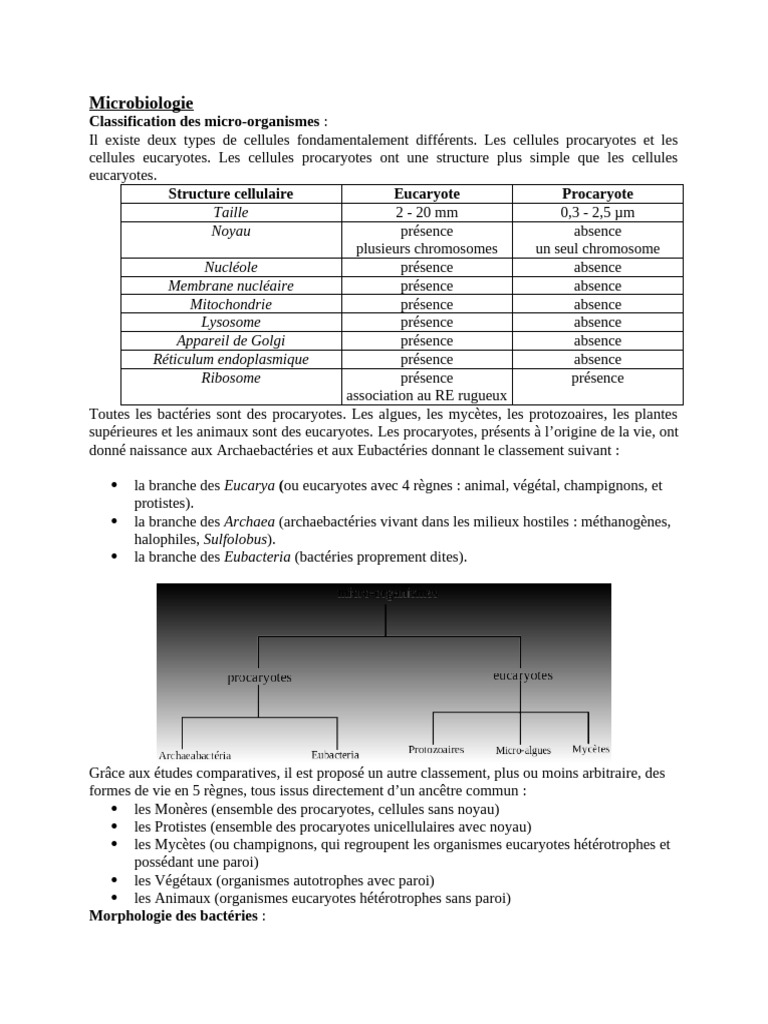 Classification et Morphologie des Micro-organismes | PDF | Respiration ...