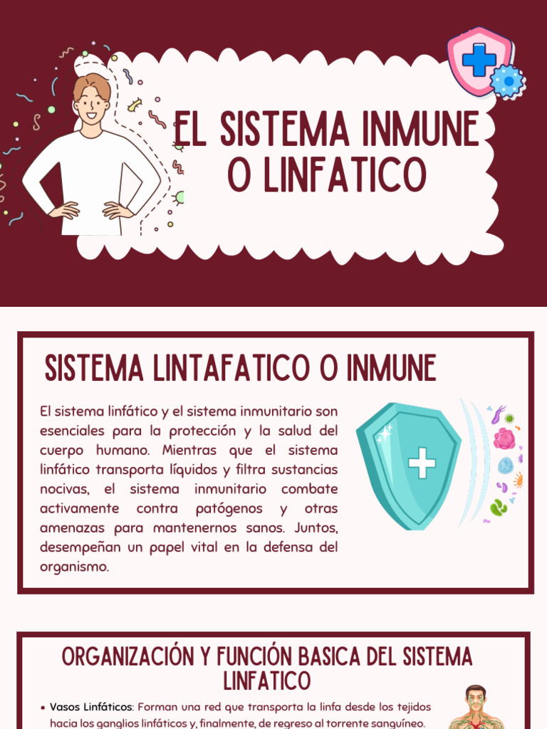Sistema Linfatico O Inmune Pdf Sistema Inmune Sistema Linfático