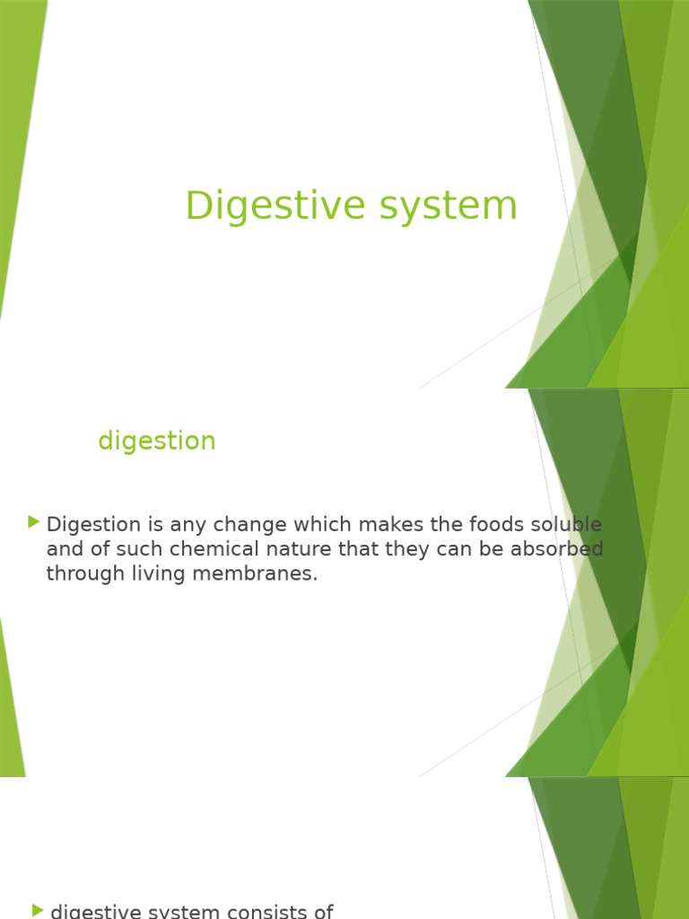 Digestive system 1 pdf small intestine stomach