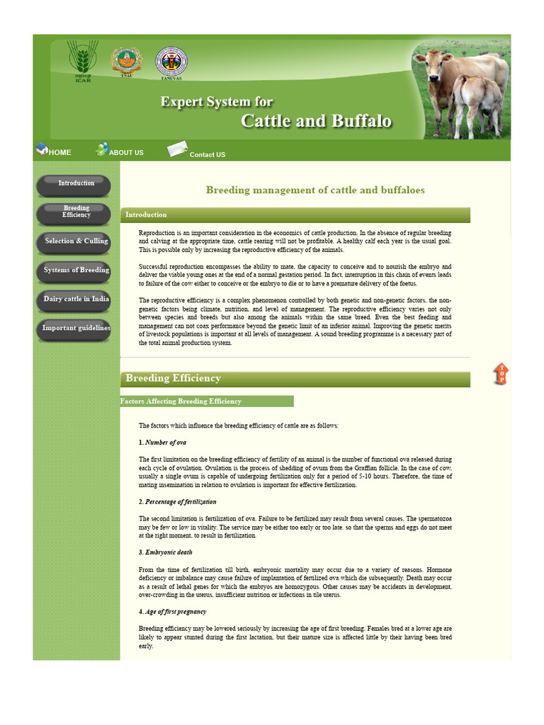 Breeding Management for Cattle and Buffaloes | PDF | Natural Selection ...
