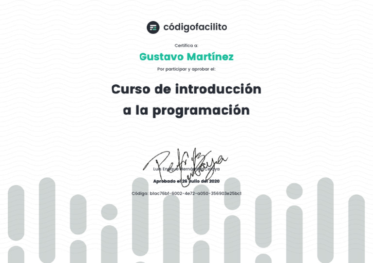 Introduction To Programming | PDF