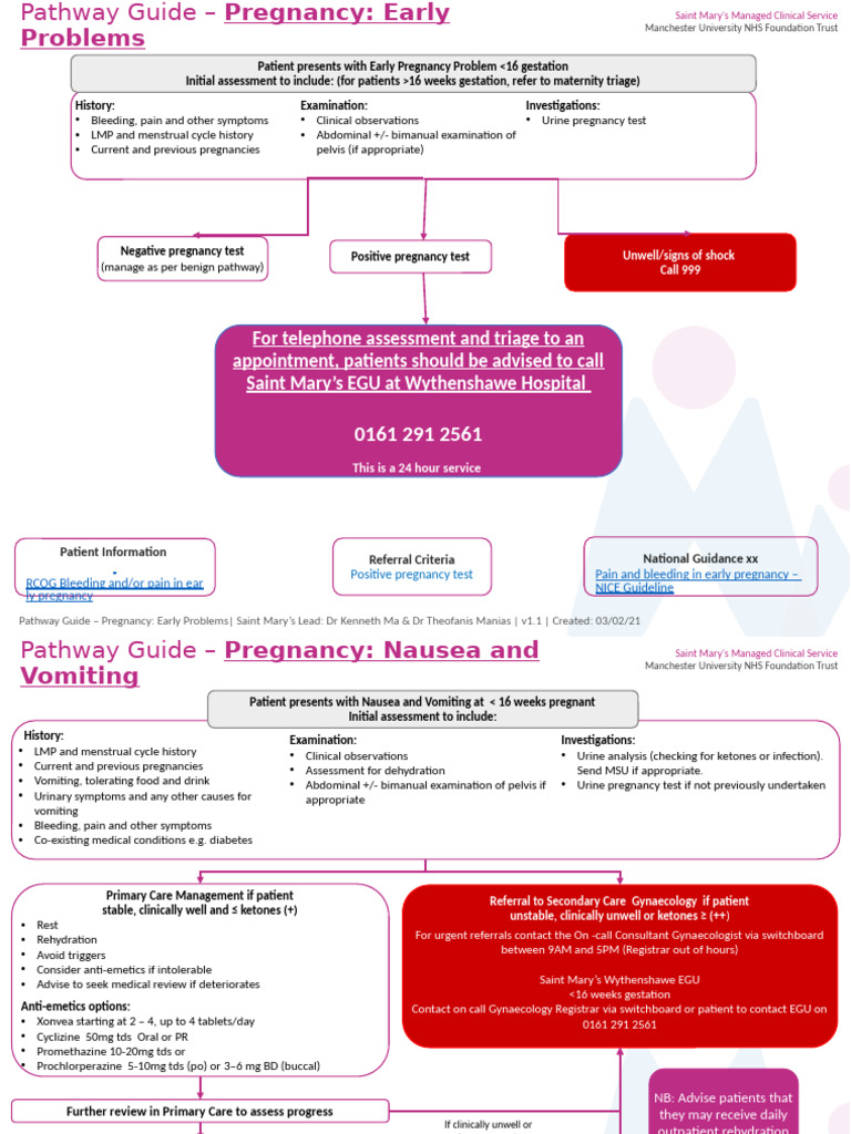 Early Pregnancy Issues: Assessment Guide | PDF | Pregnancy | Maternal ...