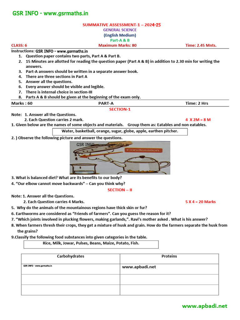 GSR Class 6 Science Assessment 2024-25 | PDF | Foods
