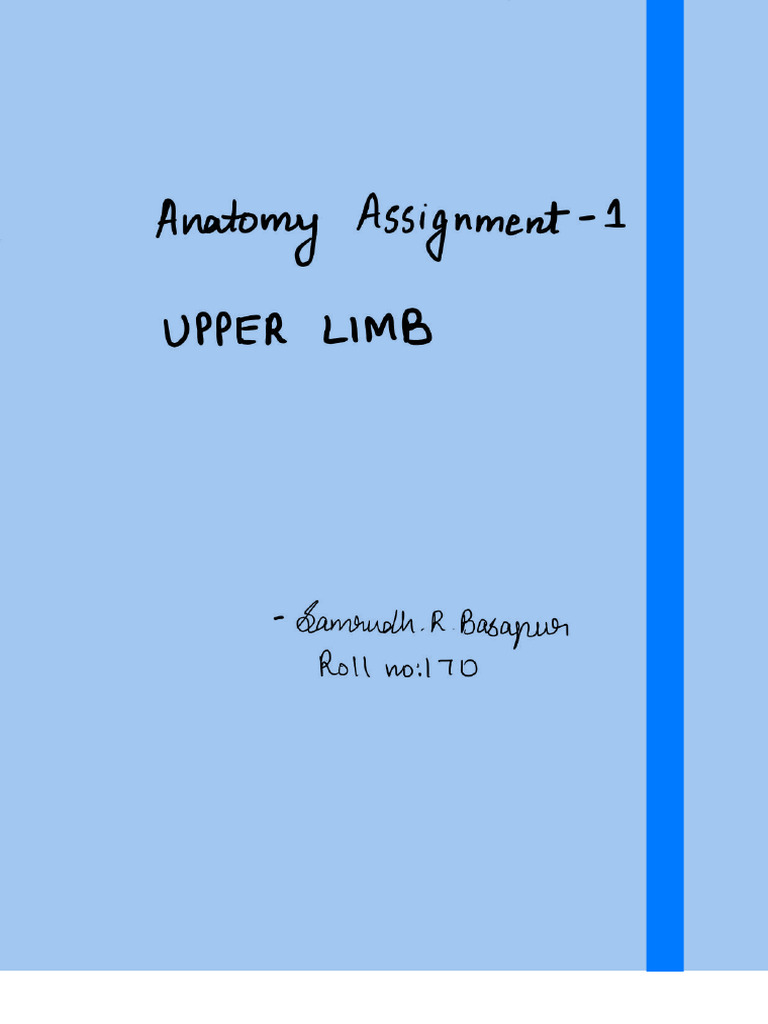 Assignment - File-1732881778239anatomy Upper Limb 1 Assignmentby ...