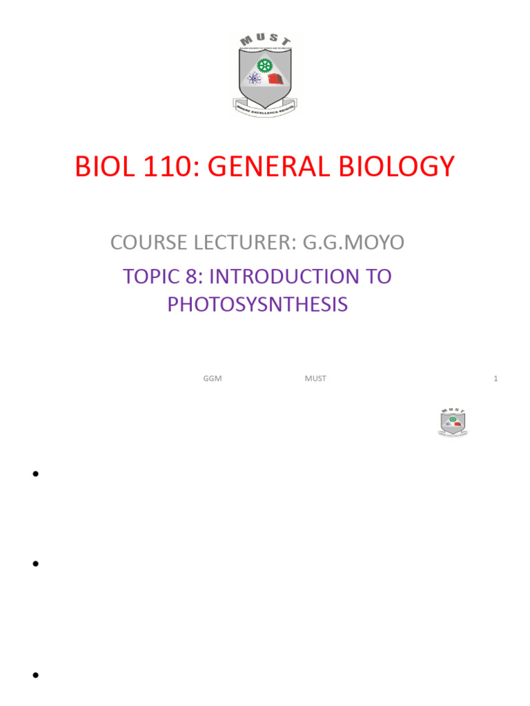 Introduction to Photosynthesis Basics | PDF | Chloroplast | Photosynthesis