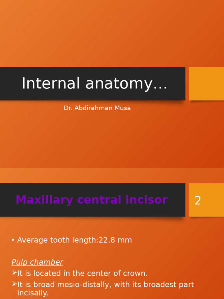 Maxillary and Mandibular Tooth Anatomy | PDF | Dentistry | Mouth