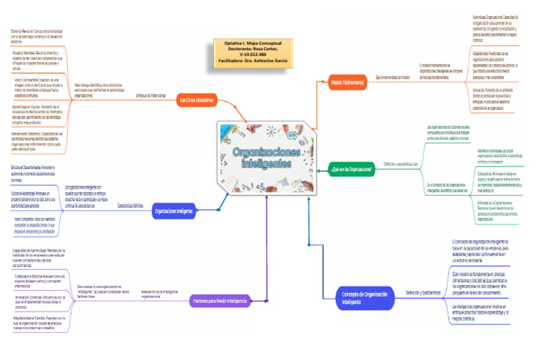 Mapa Conceptual de Optativa I | PDF