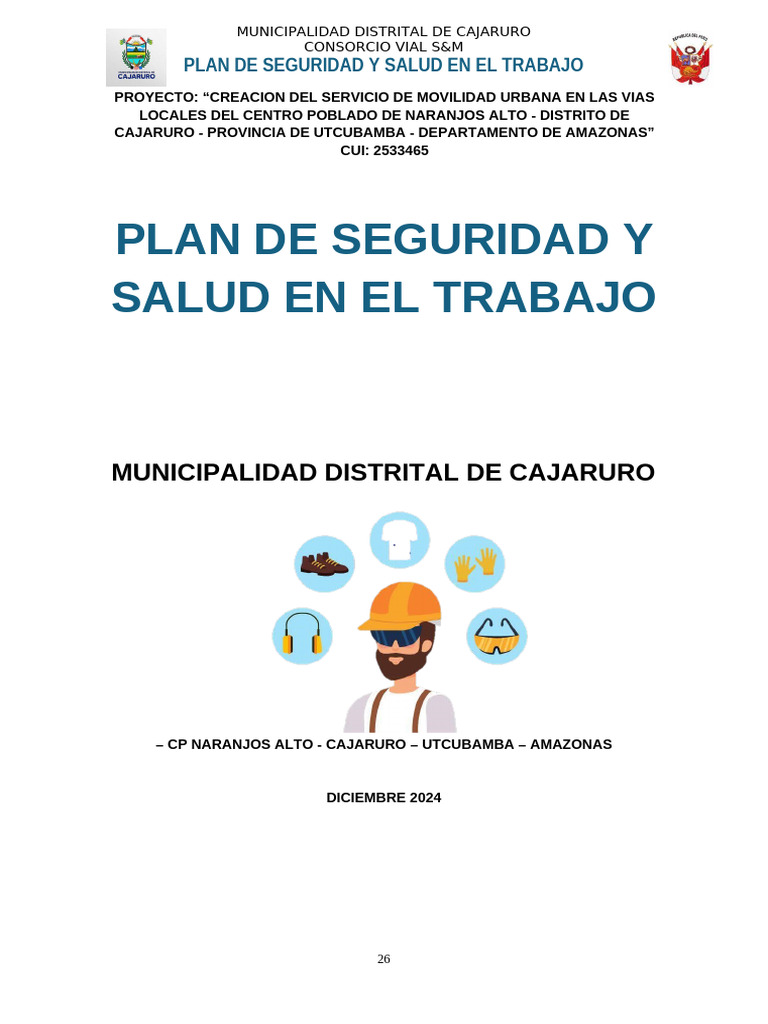 Plan de Seguridad y Salud en Cajaruro | PDF | Seguridad y salud ...
