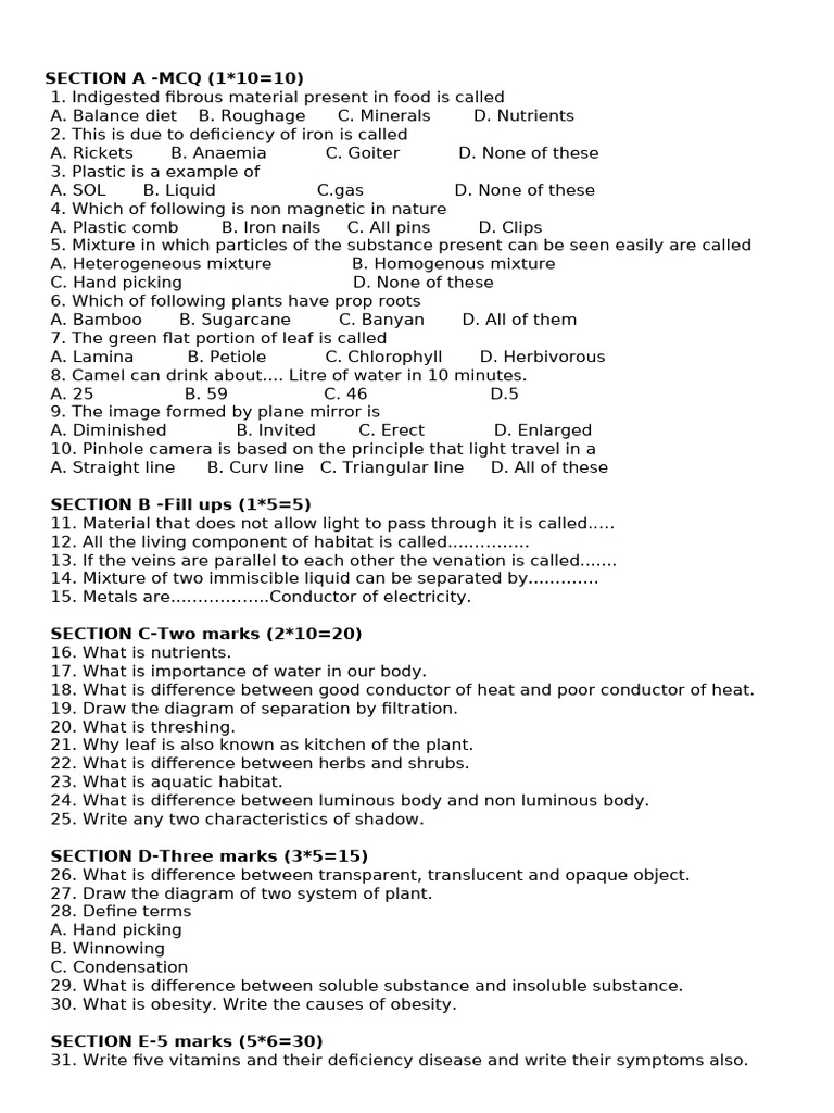 class 6 final NEW | PDF | Leaf | Mixture