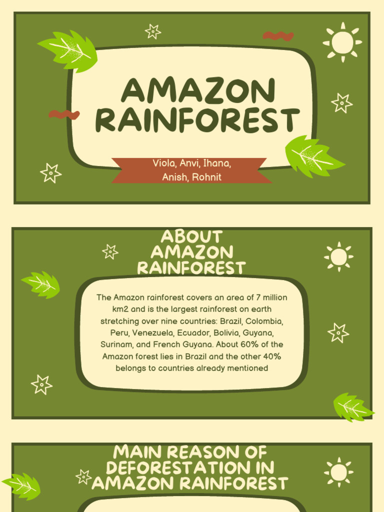 Amazon Rainforest Pdf