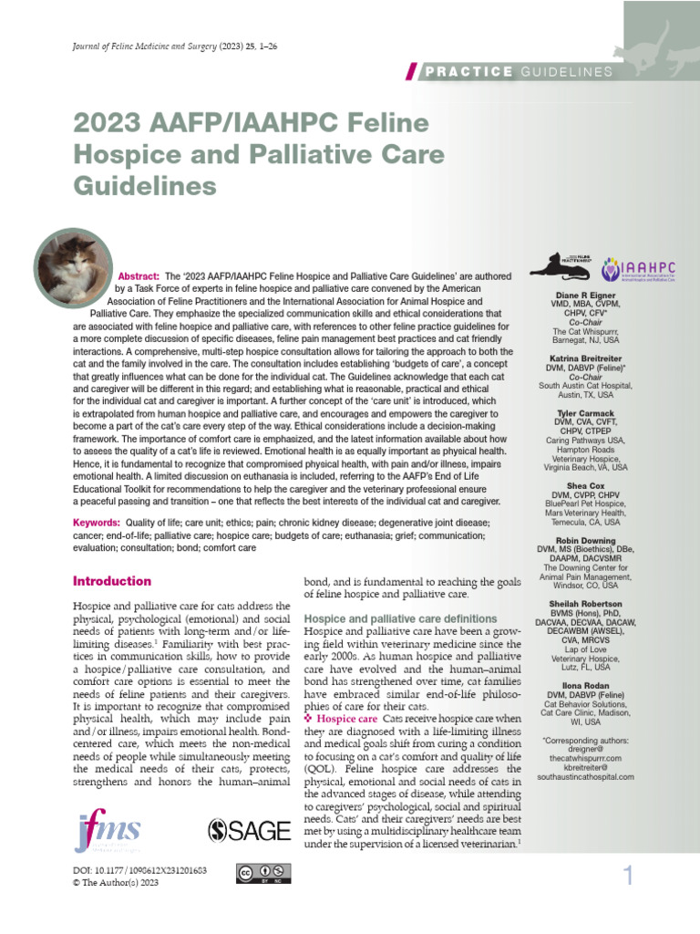 Feline Hospice and Palliative Care Guidelines | PDF | Palliative Care ...