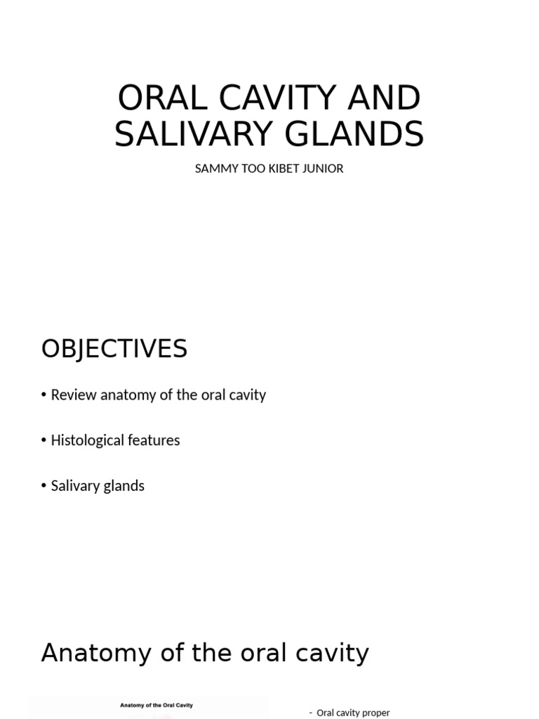 Oral Cavity and Salivary Glands | PDF | Human Tooth | Glands