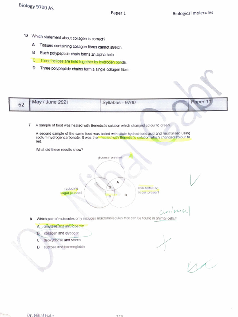 Adobe Scan 23 Nov 2024 | PDF