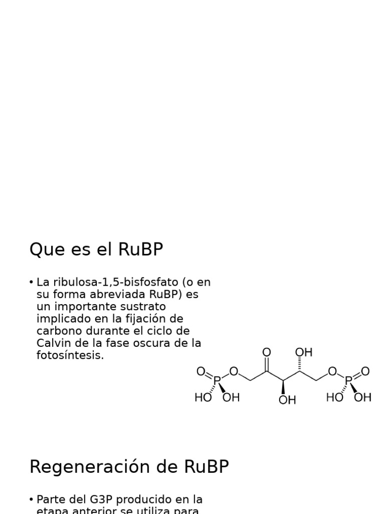 Regeneración de RuBP | PDF