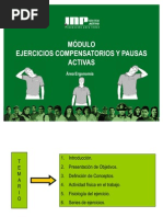 05 Ejercicios Compensatorios y Pausas Activas
