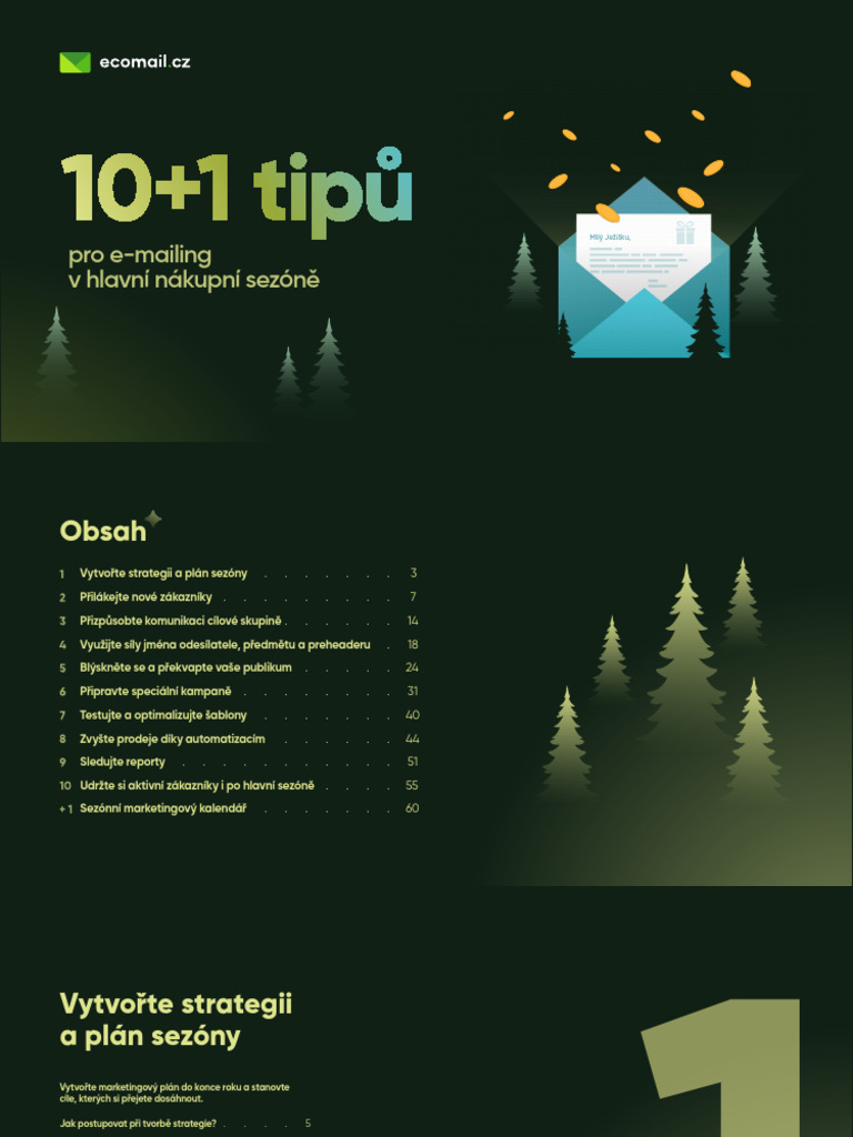 Ecomail e Book 2024 | PDF