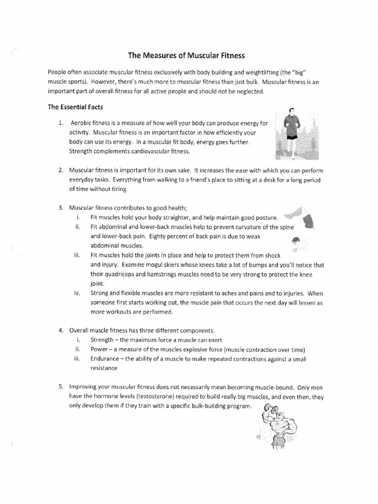 The Measures of Muscular Fitness | PDF