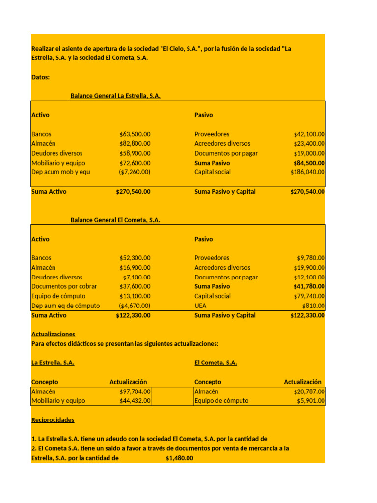 Fusión Ejercicio 2024 | PDF | Hoja de balance | Contabilidad