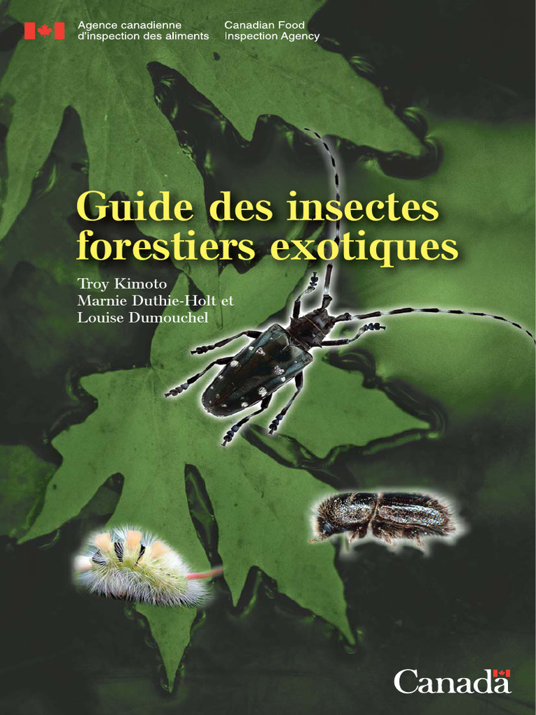 Guide des insectes forestiers exotiques | PDF | Arbres | Insectes