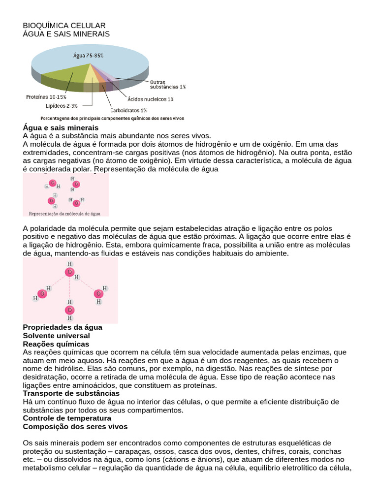 Bioquímica Celular - Água e Sais Minerais | PDF | Água | Propriedades ...