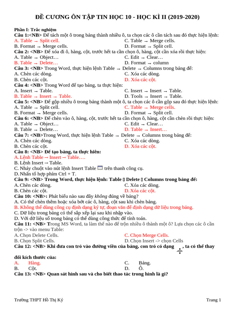 De Cuong On Thi Hoc Ky 2 - Tin 10 | PDF