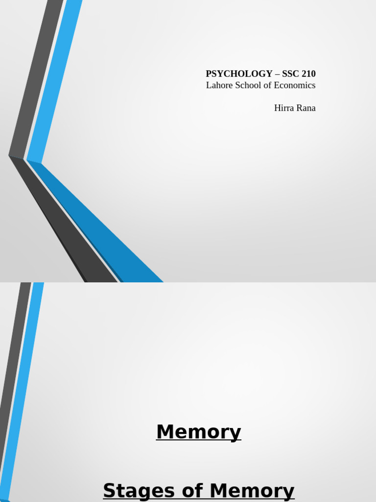 524_10160_175748 | PDF | Memory | Long Term Memory