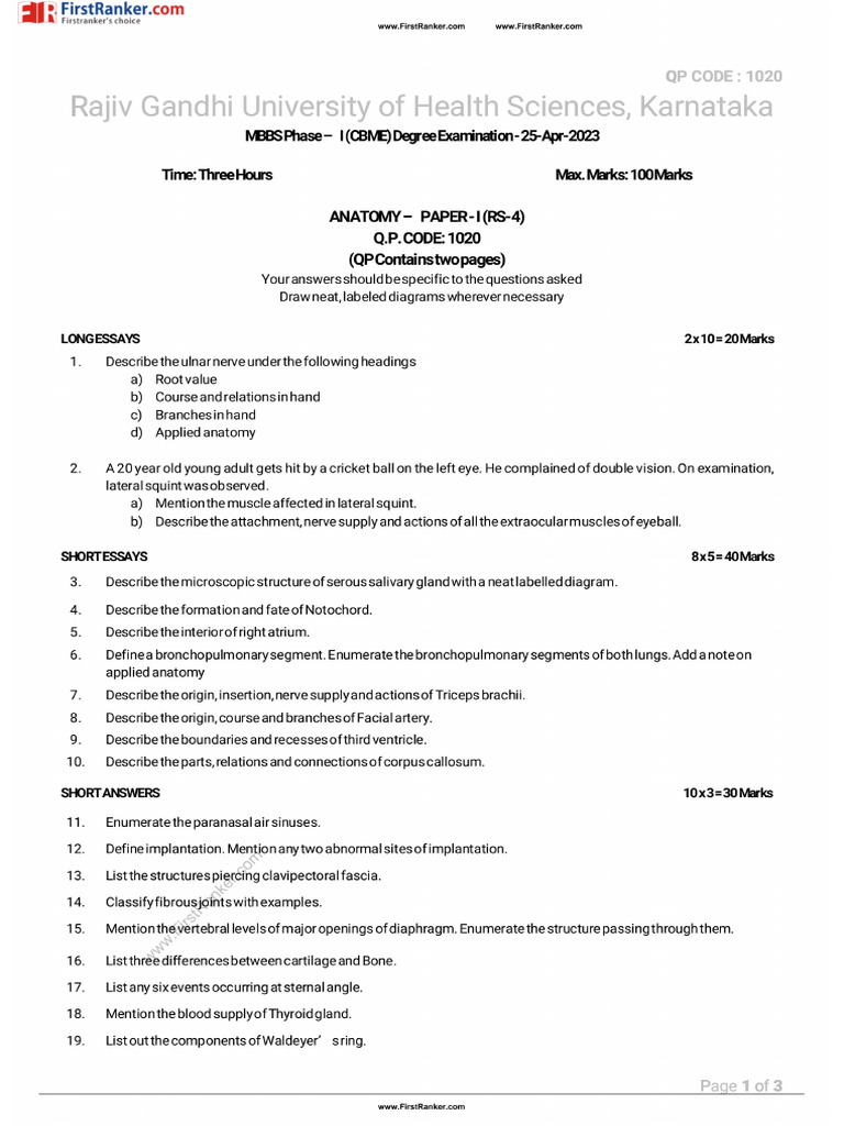 Anat Question Paper | PDF