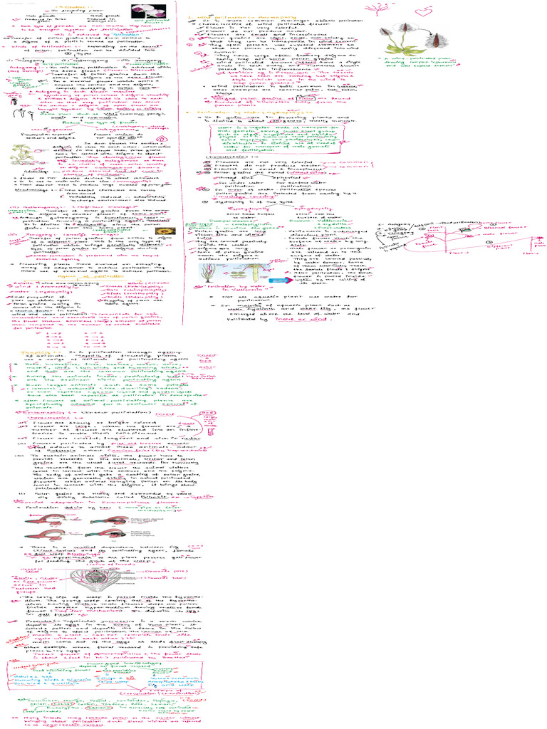 Notes 4 | PDF