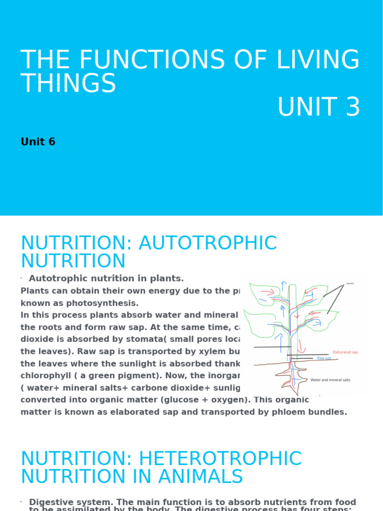 Functions of Living Things Explained | PDF | Nutrition | Diet & Nutrition