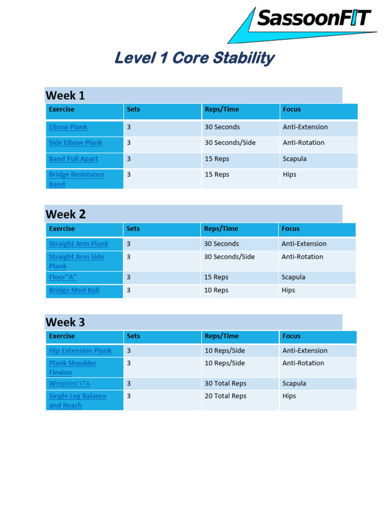 Level 1 Core Stability Workout Plan | PDF