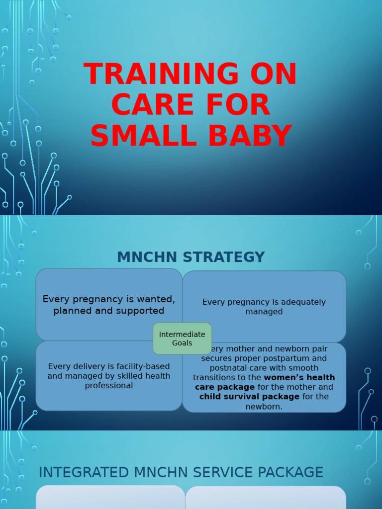 Essential Care for Small Babies: MNCHN Strategy | PDF | Postpartum ...