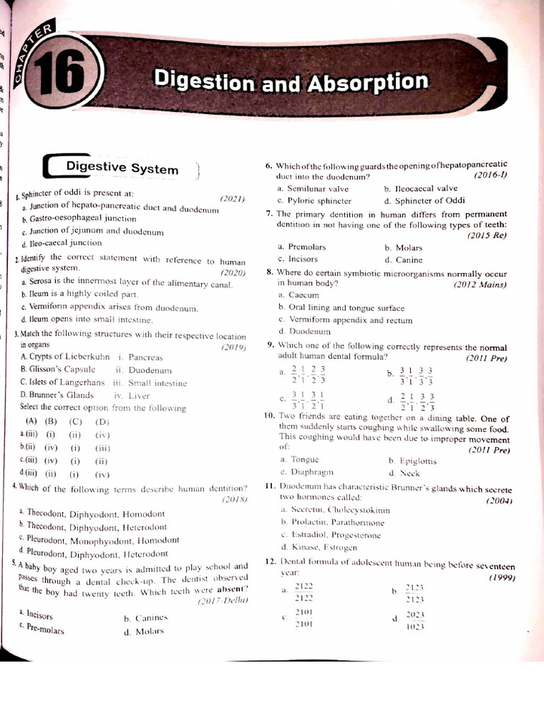 Digestion Pdf