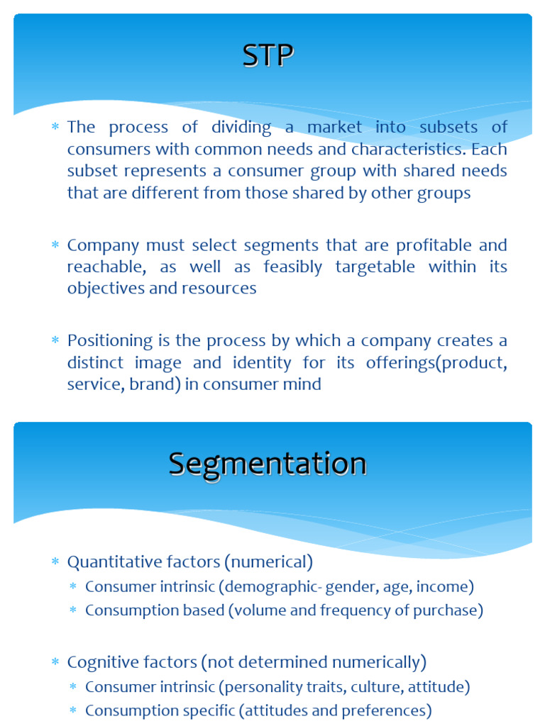 Market Segmentation and Targeting Guide | PDF