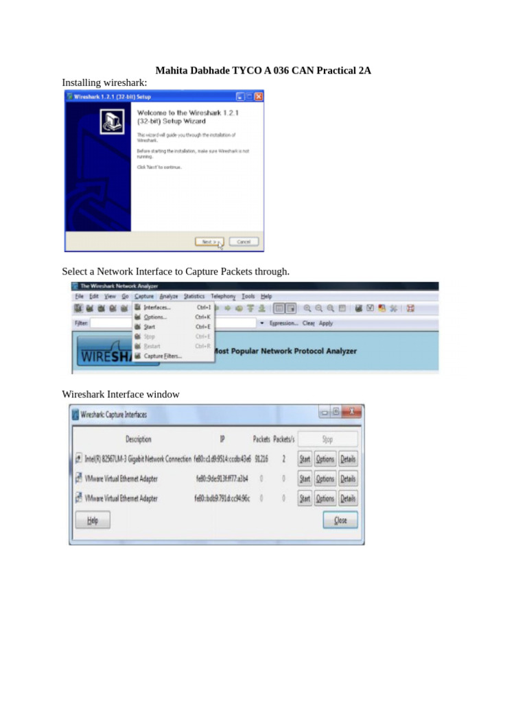 Wireshark Packet Capture Guide | PDF