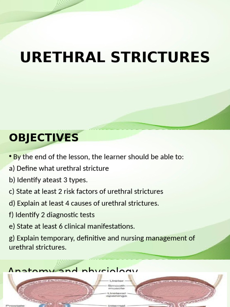 Urethral Strict Notes-Wps Office | PDF | Urinary System | Surgical ...