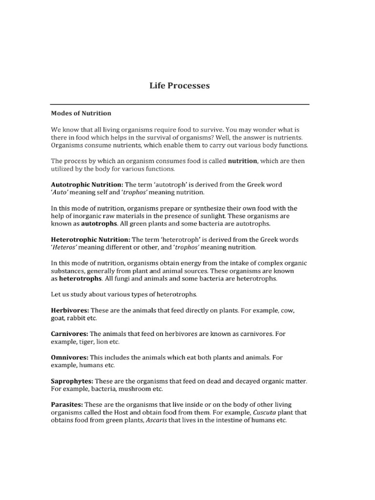 Life Process Concept | PDF
