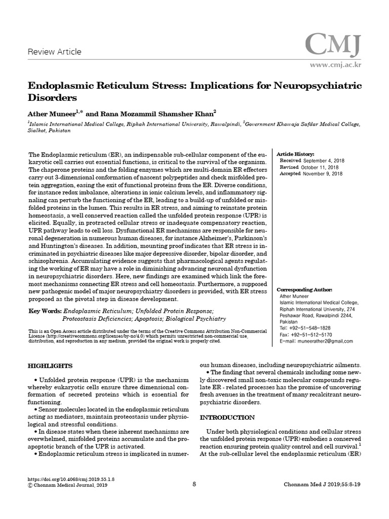 Endoplasmic Reticulum Stress | PDF | Endoplasmic Reticulum | Autophagy