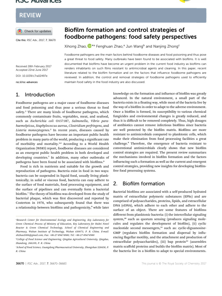 Biofilm Control Strategies for Food Safety | PDF | Biofilm | Bacteria
