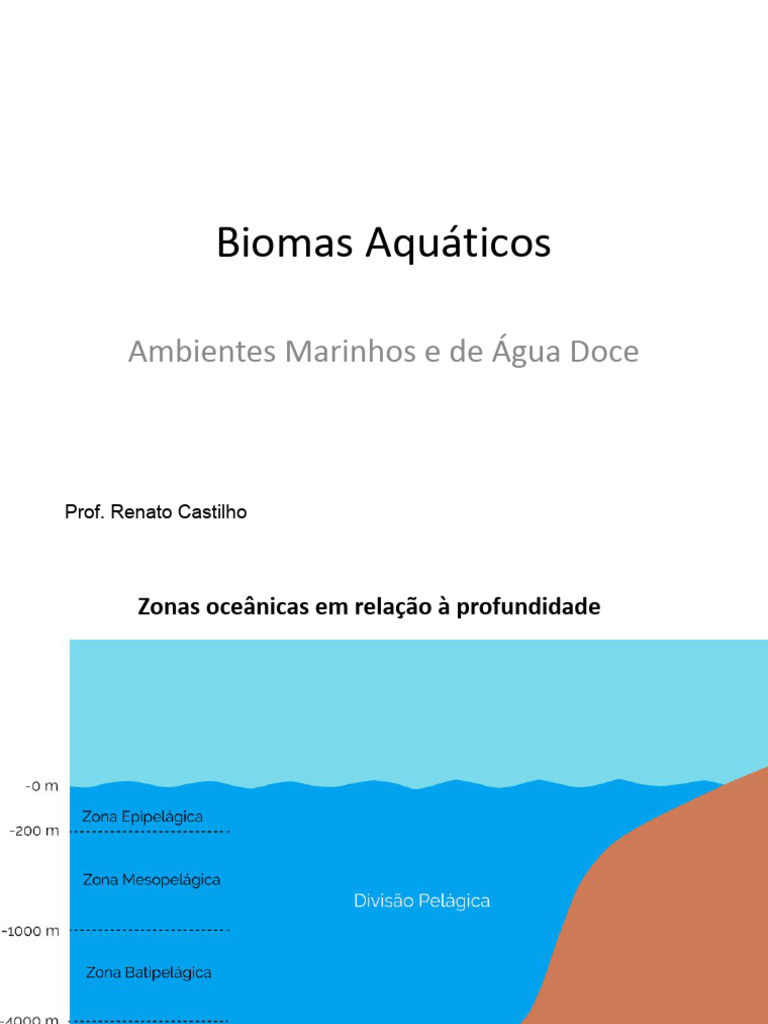 Biomas Aquáticos: Zonas e Ecossistemas | PDF | Biologia Marinha ...