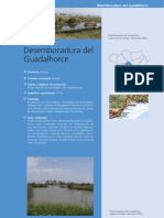 Desembocadura del Guadalhorce: humedales artificiales