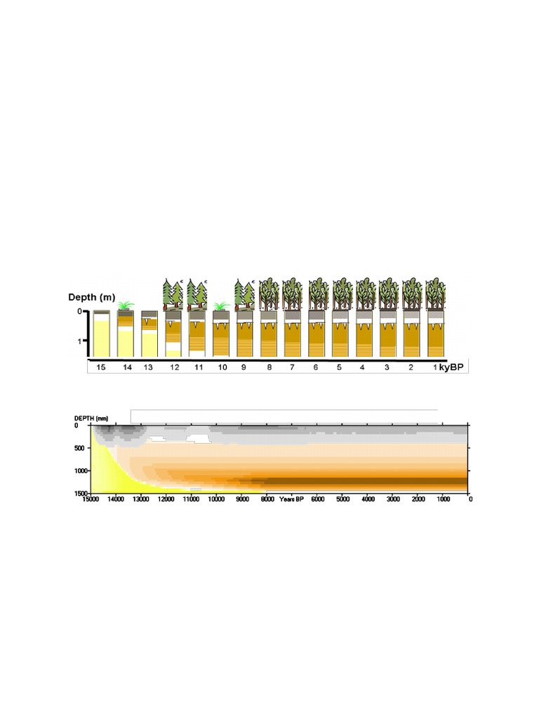 SoilGen2.26 UserManual | PDF | Parameter (Computer Programming) | Soil