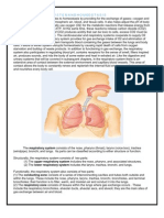 anatomy and physiology of Respiratory System