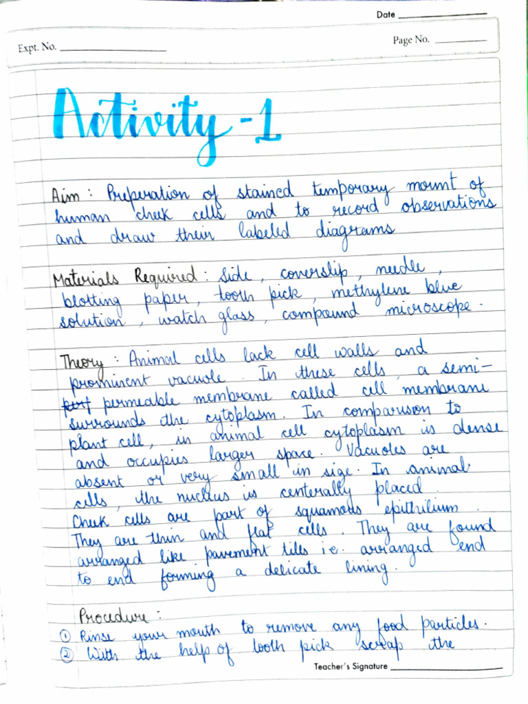 Practical File Bio Suhaani | PDF | Neuroanatomy | Tissue (Biology)