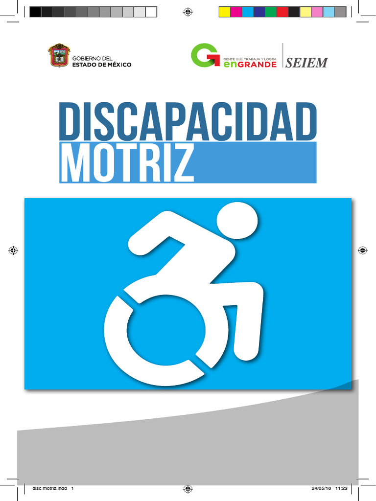 Discapacidad Motriz en la Escuela | PDF | Cerebro | Medicina CLINICA