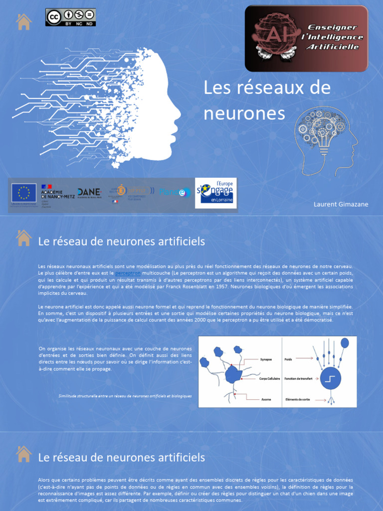 Introduction aux réseaux de neurones | PDF | Réseau de neurones ...