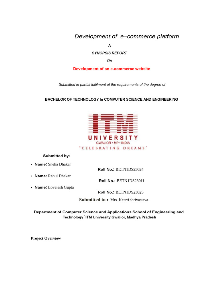 E-Commerce Platform Development Report | PDF | Databases | Computer ...