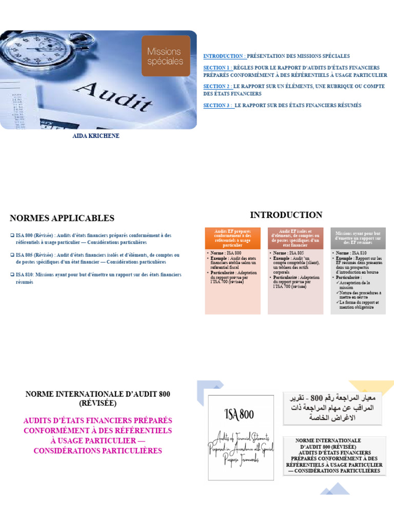 Normes d'Audit pour États Financiers Spéciaux | PDF | Audit | Audit ...