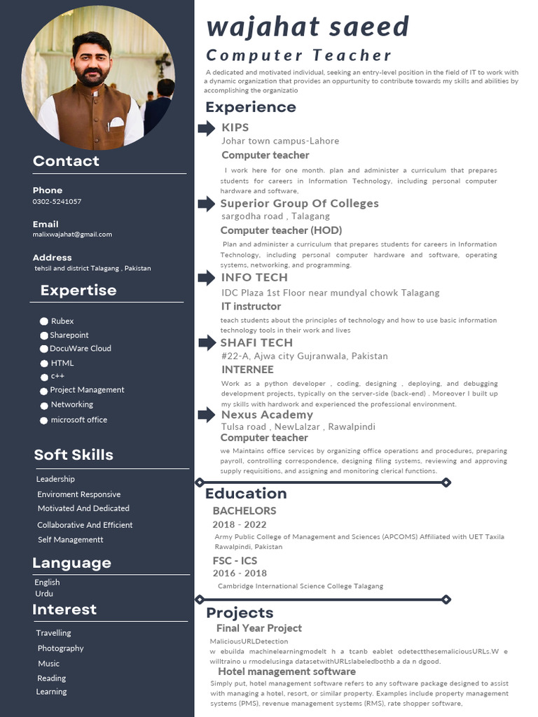 IT Professional Profile and Skills | PDF | Computing | Software Engineering