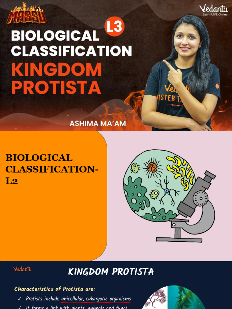 Protista: Key Traits for JEE/NEET | PDF | Protozoa | Eukaryotes