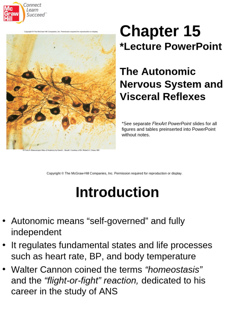 AP Lecture 13 | PDF | Acetylcholine | Autonomic Nervous System